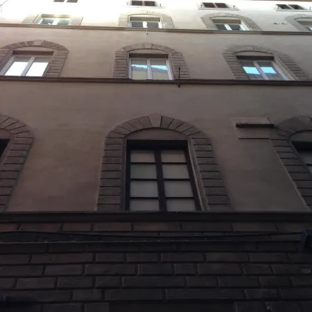 Olga's House