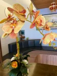 Ct Hotel