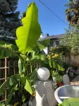 Cozy Bedrooms Guest House - Guest houses