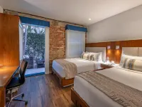 Riviera Beach House Hotels near Moreton Bay Fig Tree