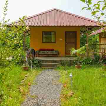 Tadoba Safari Stay Nature's Sprout Hotel Exterior