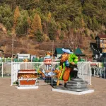 Vera Baikal Hotels in Irkutsky District