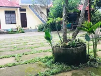 Sugi Gede Homestay Hôtels à proximité de : Un tas de cascades