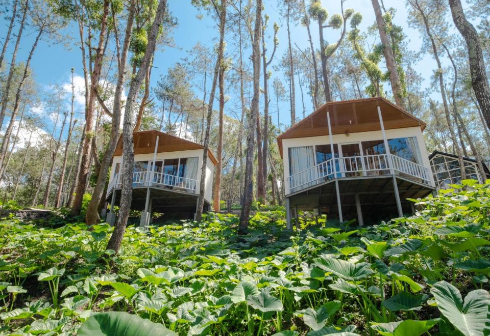 La Pino Mount Batur and Hot Spring Images