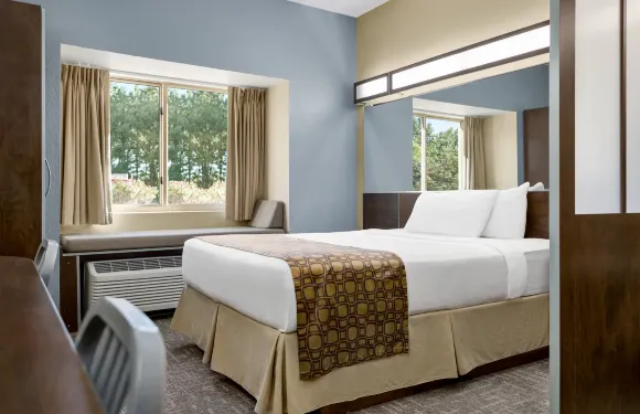 伍德斯托克/亞特蘭大北麥客達溫德姆飯店