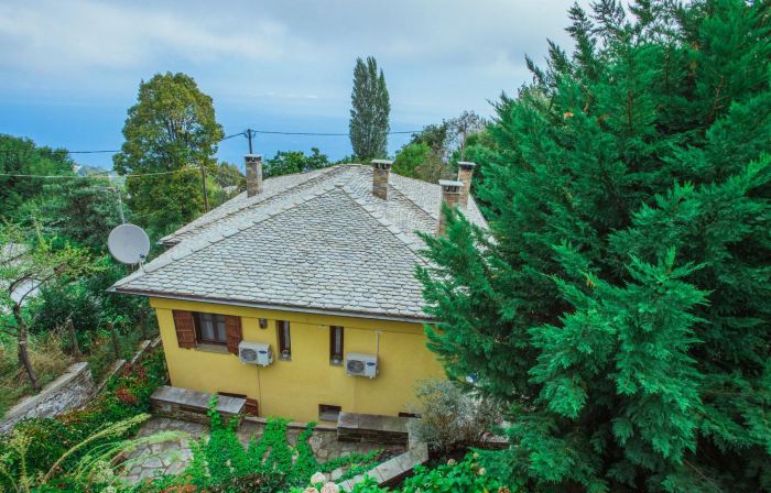 Ellis Full Guest House