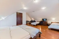 Hotel Amalia Hotels in Velky Slavkov