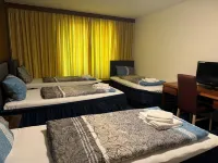 Hotel Regina - 駐車場