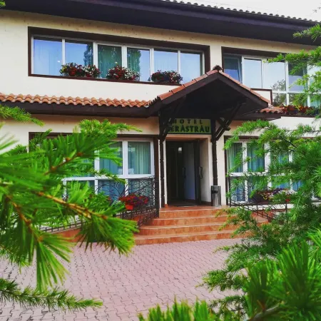 Hotel Herastrau
