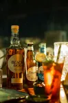 Rupal Residency - bar