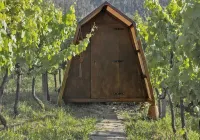 Cimo da Vinha - Nature Spot - Homestays