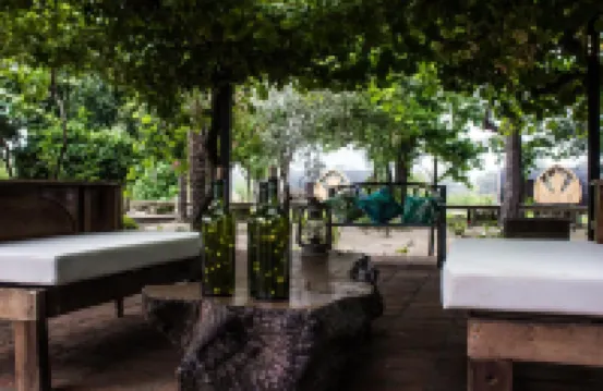 콜차구아 타이니 로지