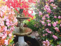 Colonial Court Motel Hotels in Cambridge