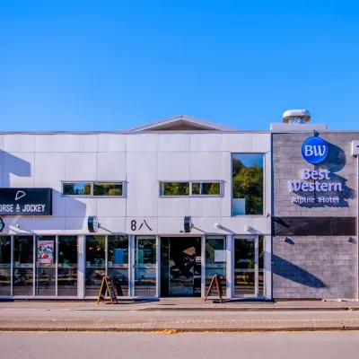 阿爾卑斯酒店 鄰近伊拉姆的酒店