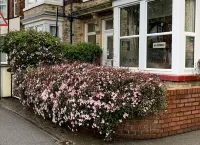 The Trinity Hotels in Bridlington