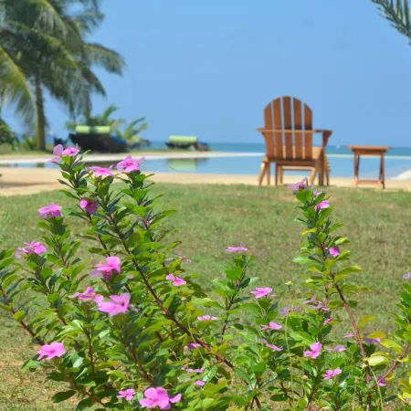 Bar Reef Resort