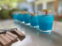 E-FUN DIVE RESORT - Quầy bar