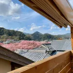 Kawazu Log House - วิวภูเขา