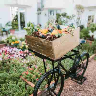 MGallery le Diwan Rabat Hotel Exterior