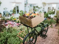 MGallery le Diwan Rabat Hotels near Royal Palace