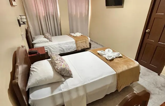 馬德里奇裏基酒店