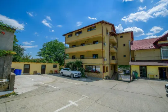 Pensiunea Domneasca Hotels in 