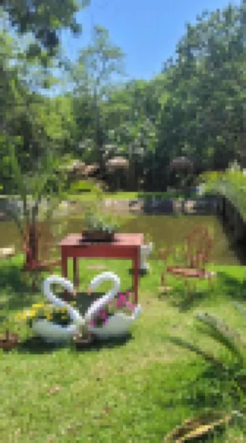 Pousada Vovó Bela Hotels in 