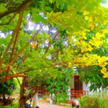 阿維安花園烏達瓦拉瓦維 酒店