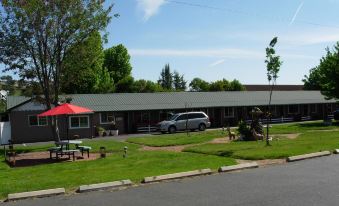 Jumping Frog Motel