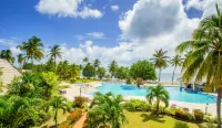 Starfish Tobago - Quầy Bar