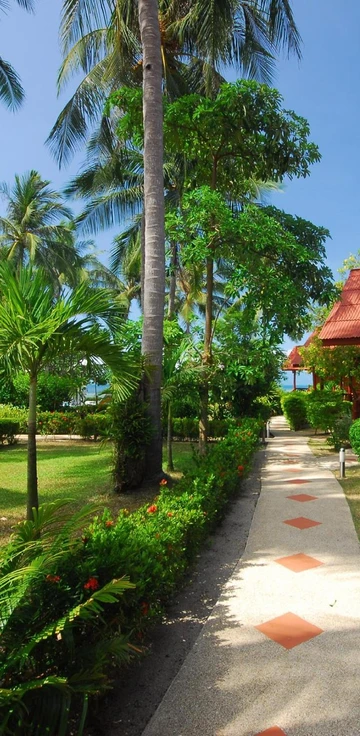 รูปภาพของมอร์นิ่งสตาร์รีสอร์ท Morning star resort