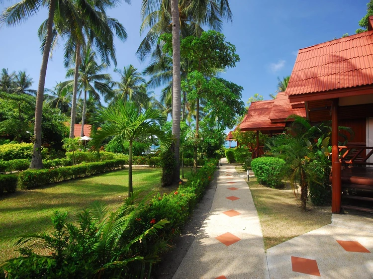 รูปภาพของมอร์นิ่งสตาร์รีสอร์ท Morning star resort