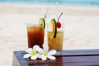 Maqai Beach Eco Resort - bar