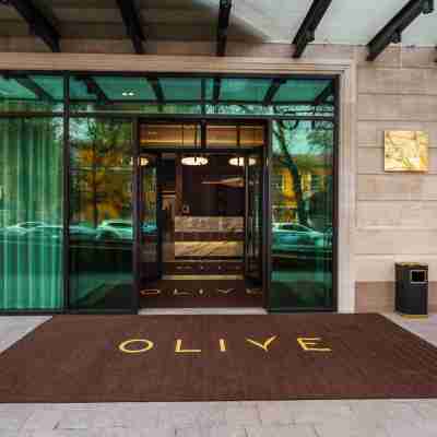 Boutique Olive Hotel Hotel Exterior