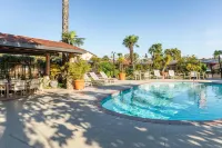 Adelaide Inn - Pools