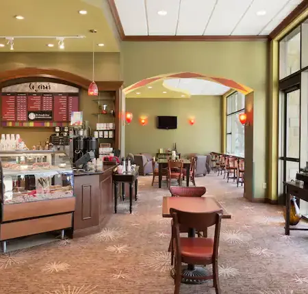 Embassy Suites by Hilton Dallas Frisco Hotel & Convention Center