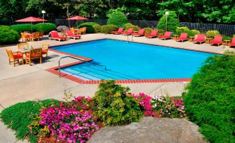 Trumbull Marriott Shelton