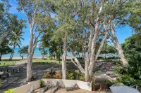 Hibiscus in Marlin Waters Palm Cove