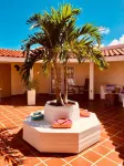 Karibu Aruba Boutique Hotel