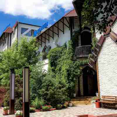 Metelitsa Hotel Hotel Exterior