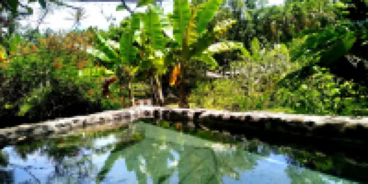 Nypa Style Resort Camiguin