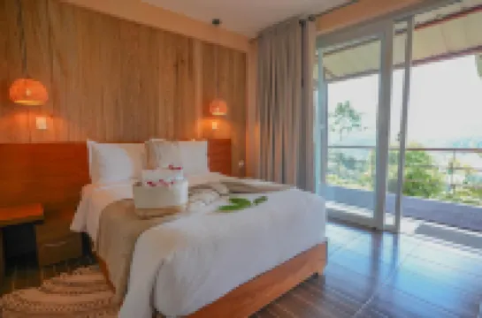 Vibra Wellness Hotel y Spa Hotels in 