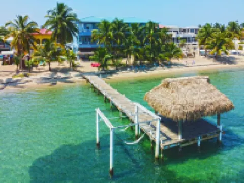 Parrot Cove Lodge Hotels in 