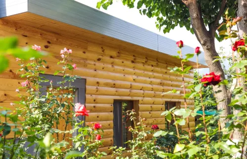 Hayi Tun Guest House - Homestays