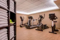 Stuttgart Marriott Hotel Sindelfingen - Fitnessstudio