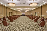 Crowne Plaza GREENVILLE by IHG - Business