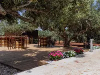 B&B Pietre Preziose Hotels in Castelluzzo