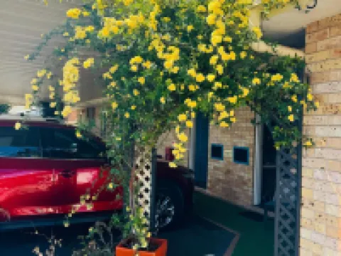 城市鄉間汽車旅館 South Tamworth酒店