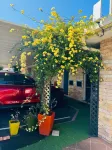 Town & Country Motor Inn Hotels in Tamworth