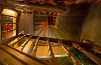 アイオン ラグジュアリー ホテル